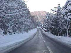 S�duferstra�e am Klopeiner See